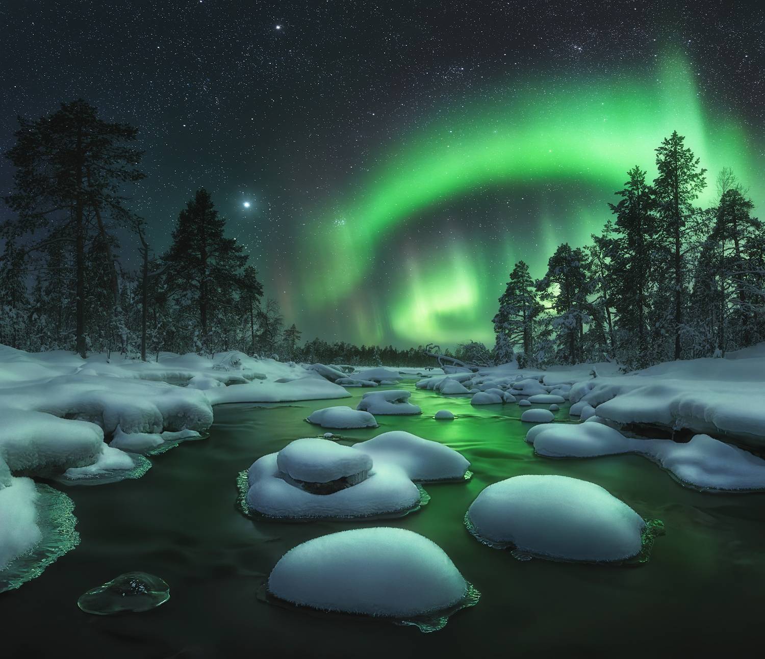 , Медянцев Дмитрий