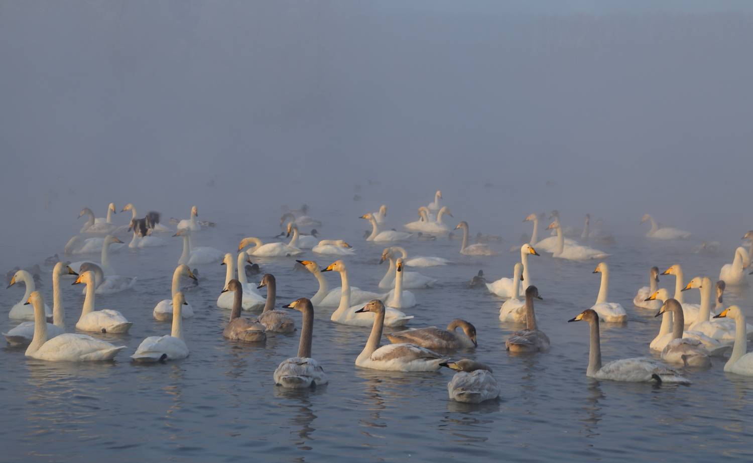 , Евгений Зинов