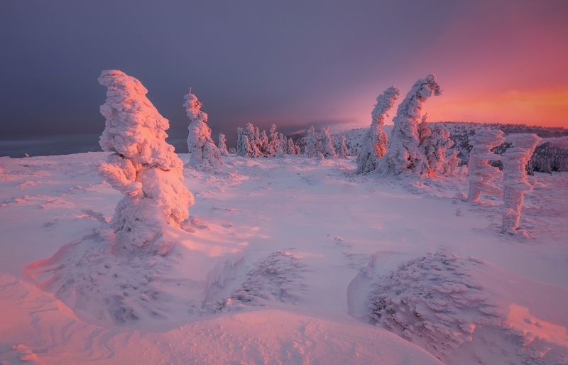 landscape, winter, color, red Rudé ráno v Jeseníkách фото превью