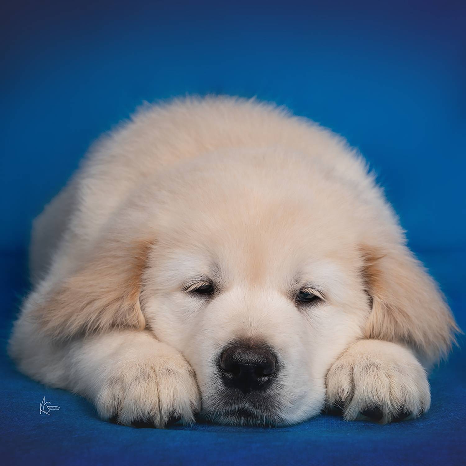 , Коптилина Галина