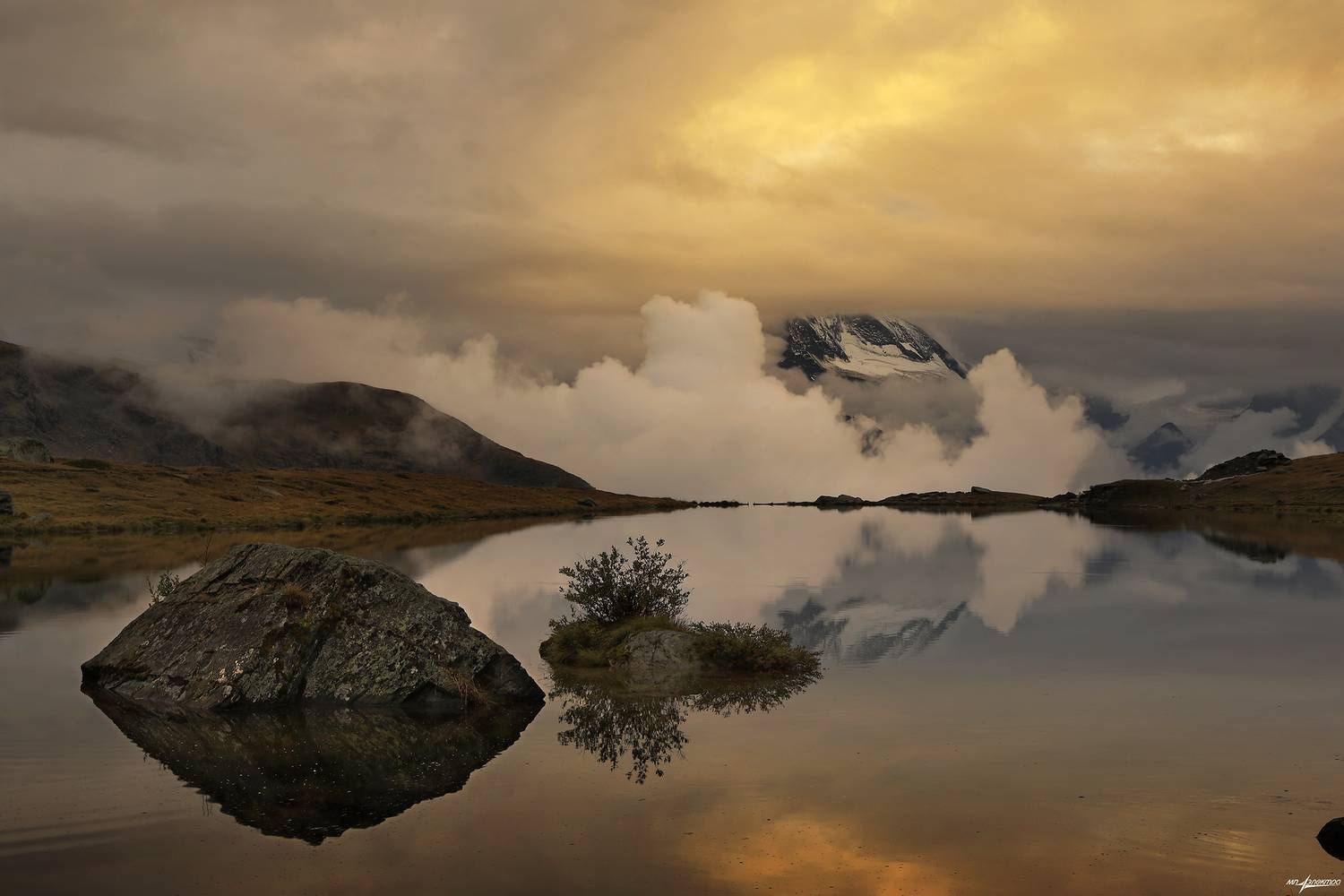 swiss, Матвеев Николай