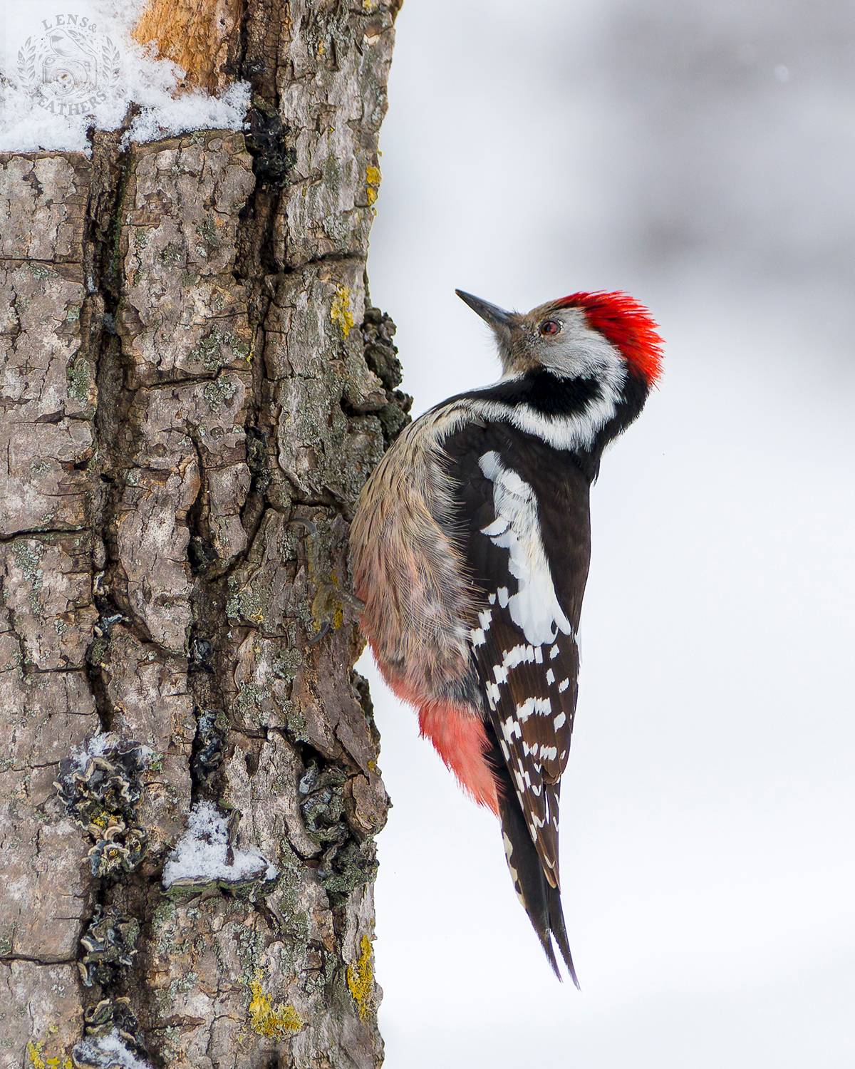 , Евгени Стефанов