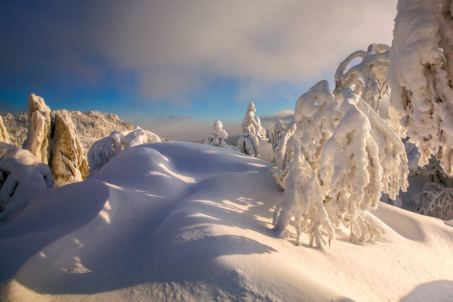 , Евдокимов Сергей