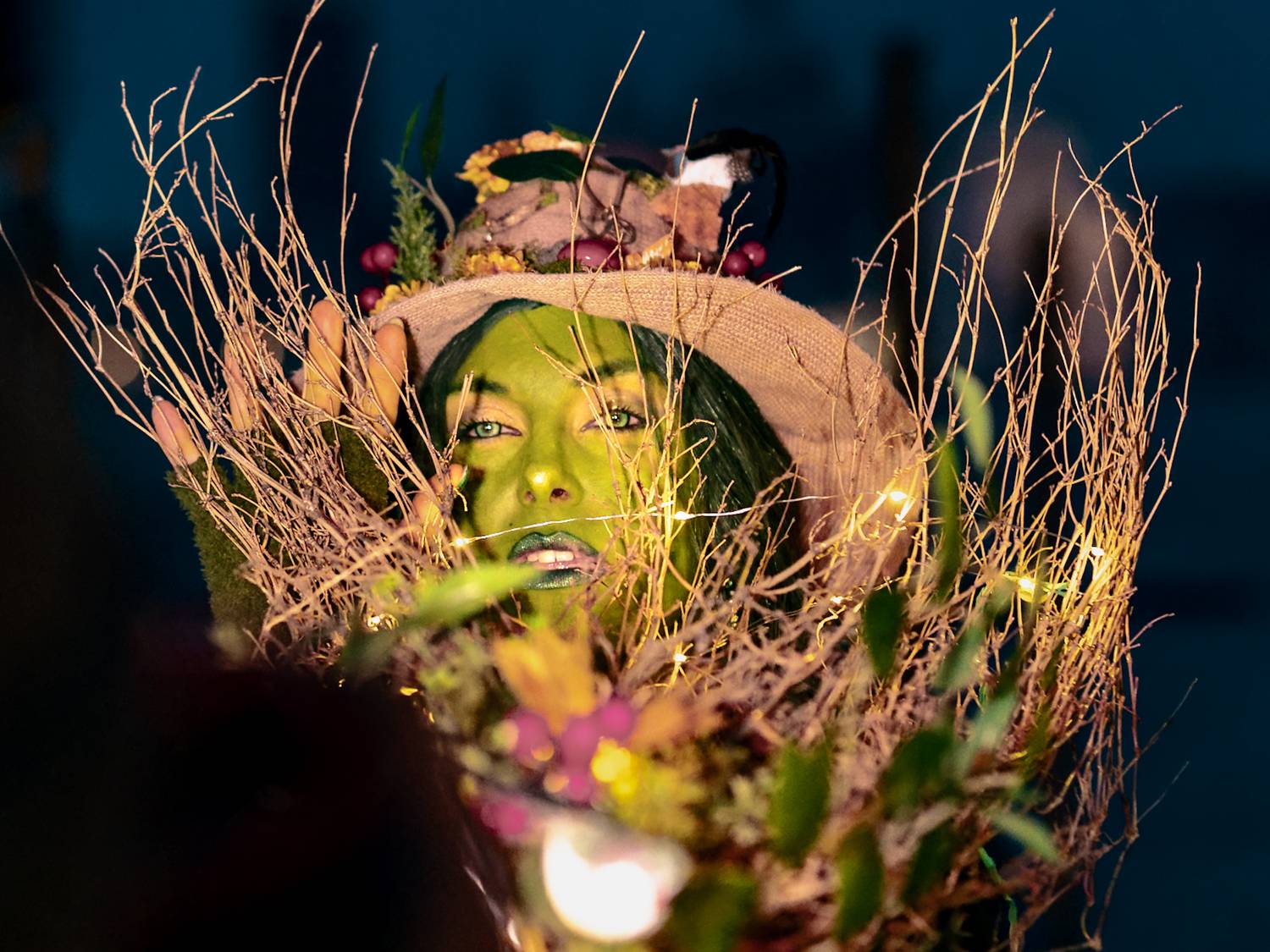 , Denis Cristian BURMELEAC