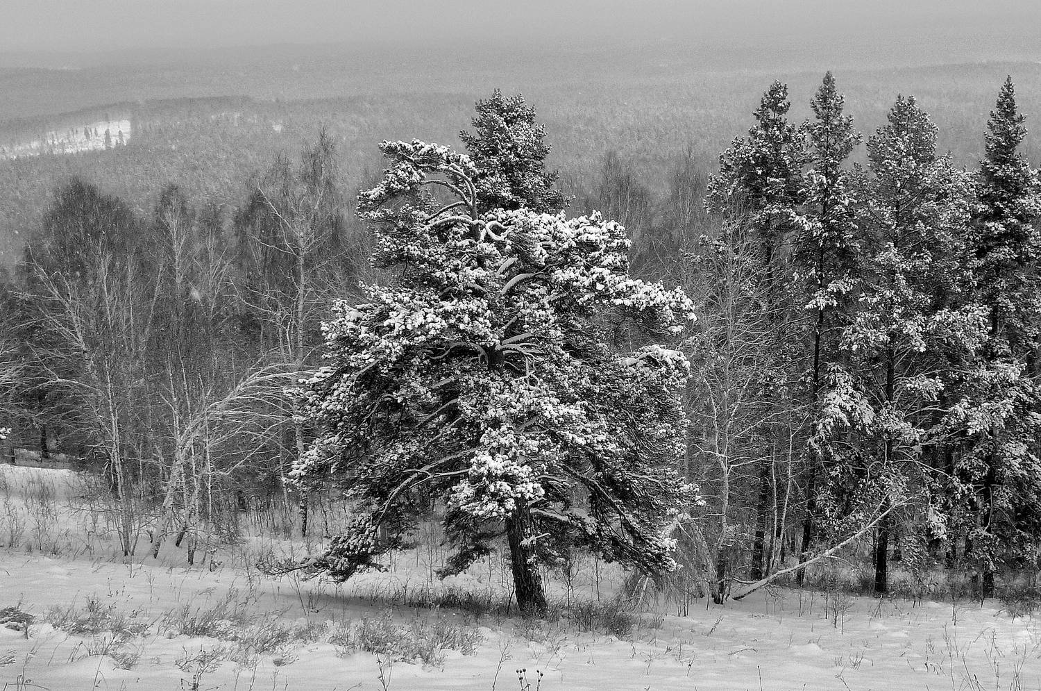 , Ушаков Валерий
