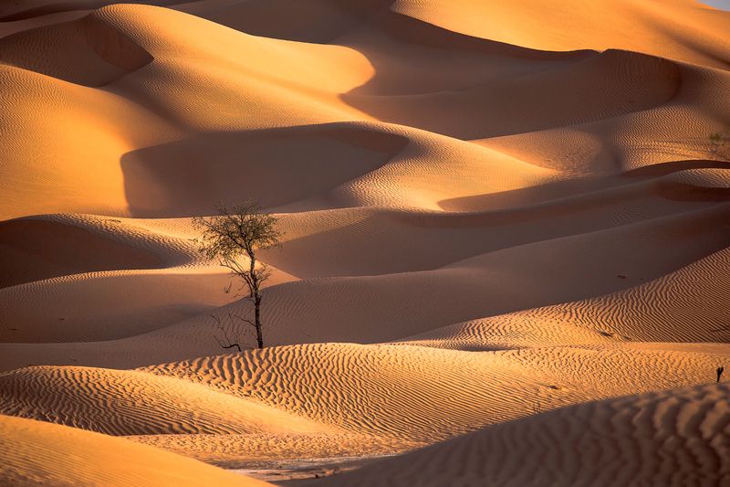 Фактуры и Формы фото превью