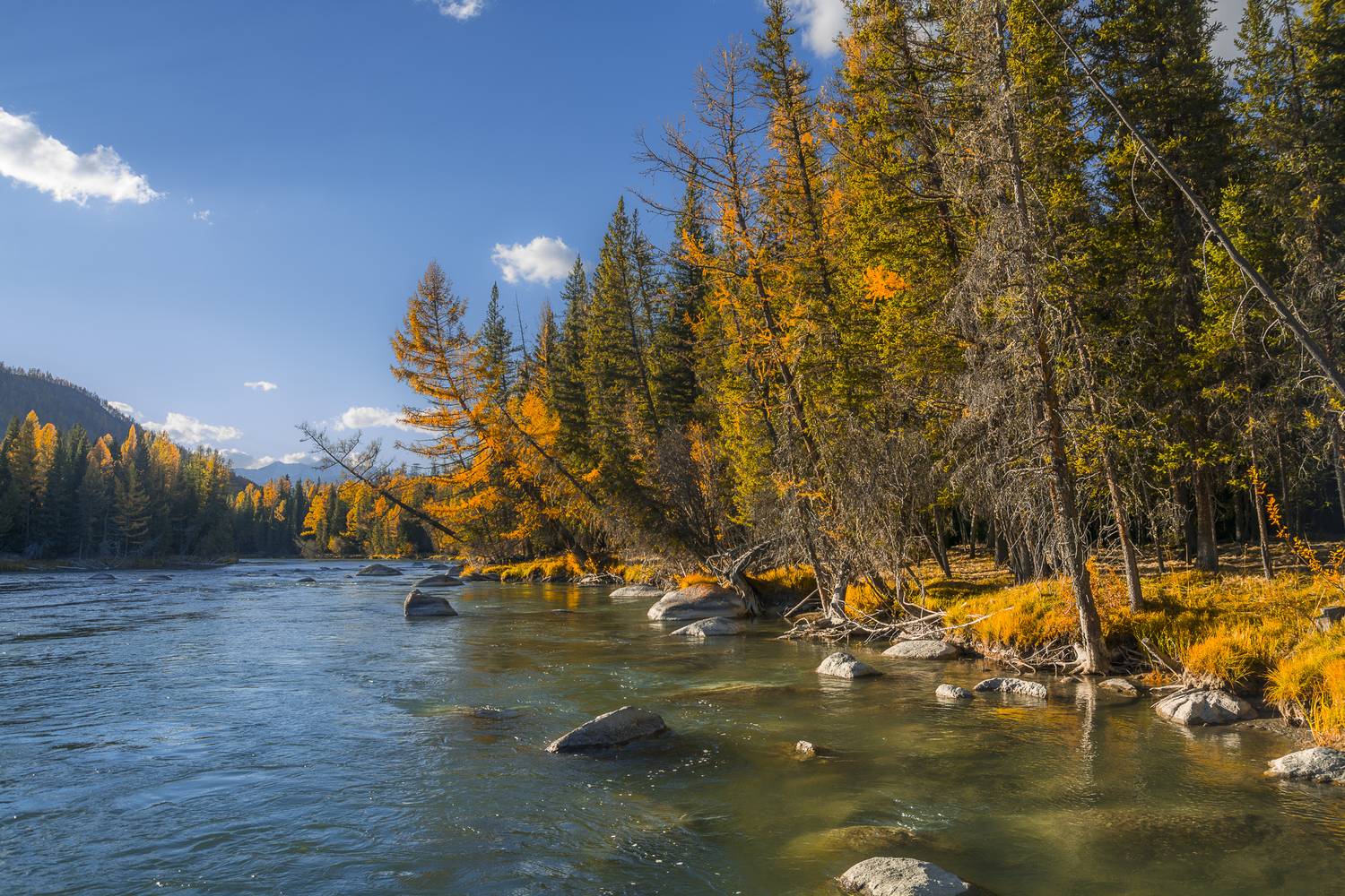 россия, горный алтай, река, осень, вечер, Поляков Андрей