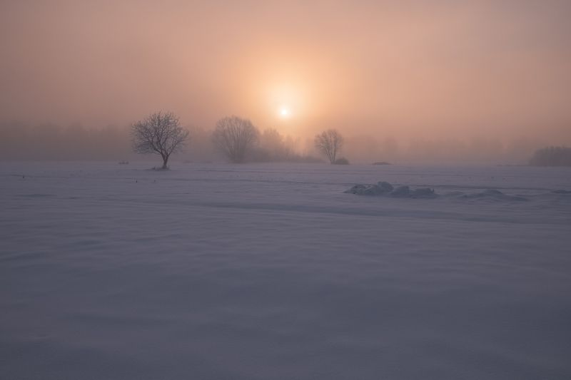 Морозное и туманное утро фото превью