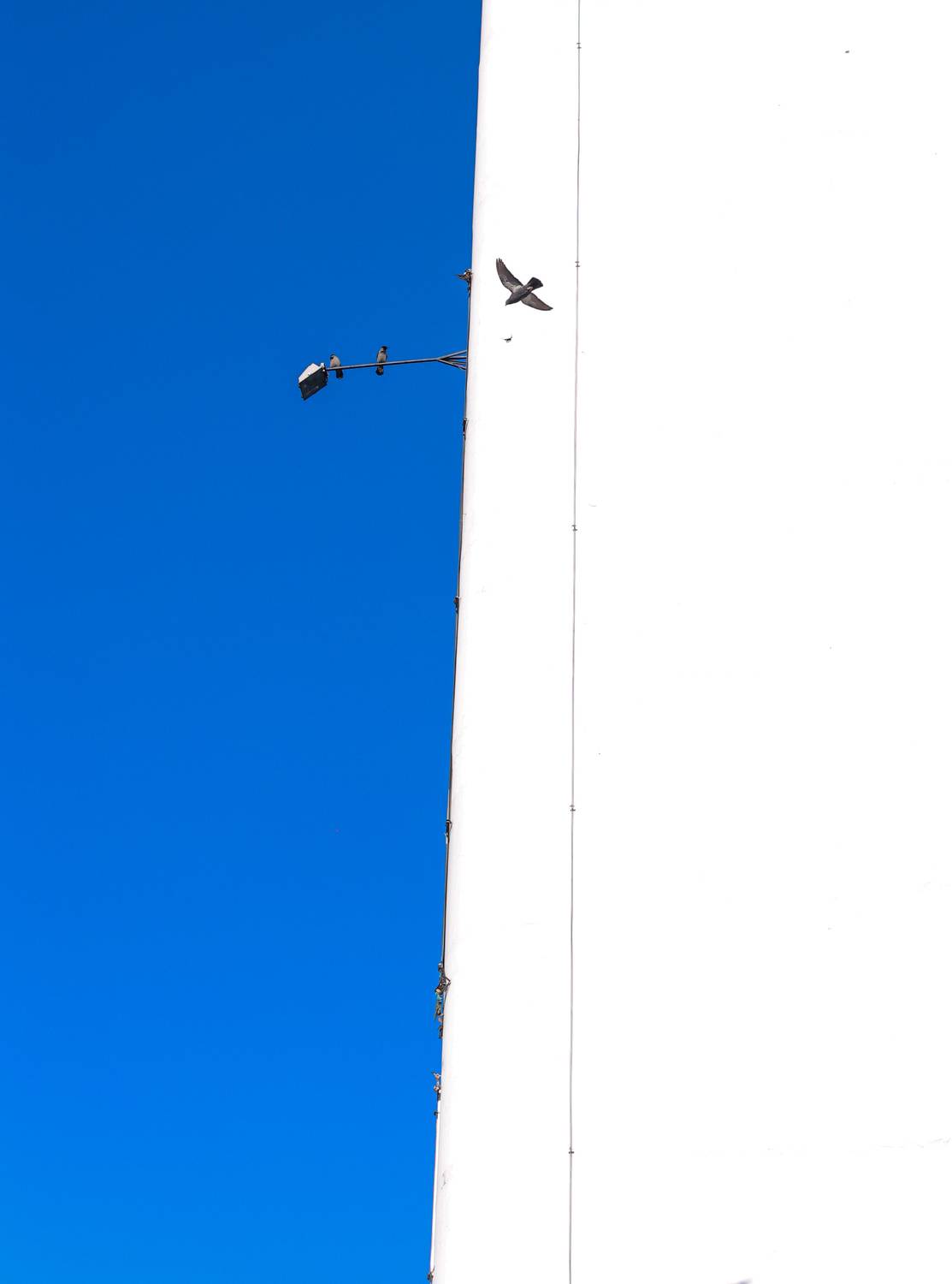 , Krzysztof Trojanowski