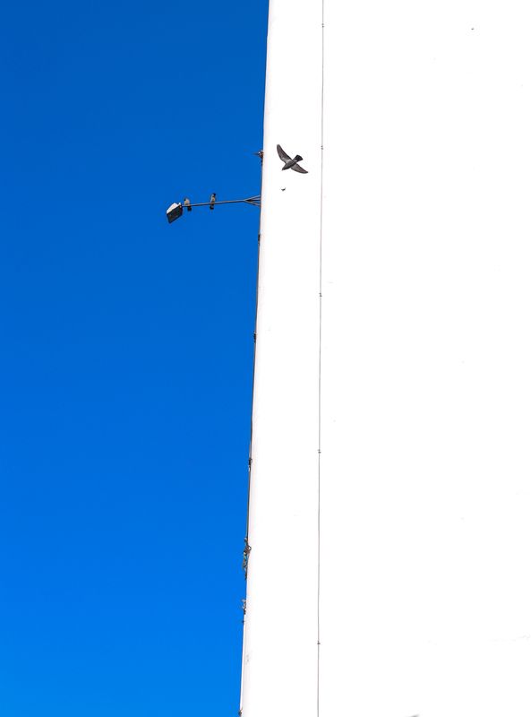 ... фото превью