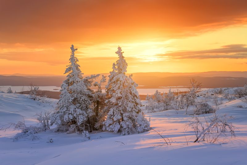 Кольский п-ов Добрый вечер.... фото превью
