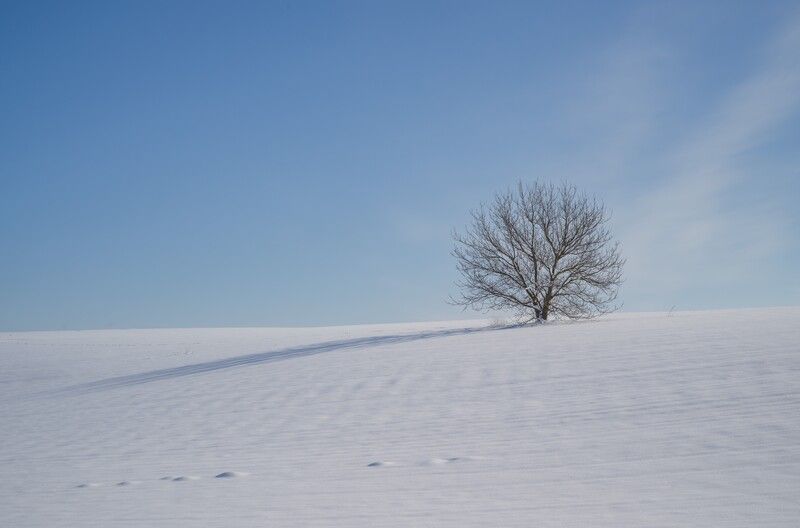 Один фото превью