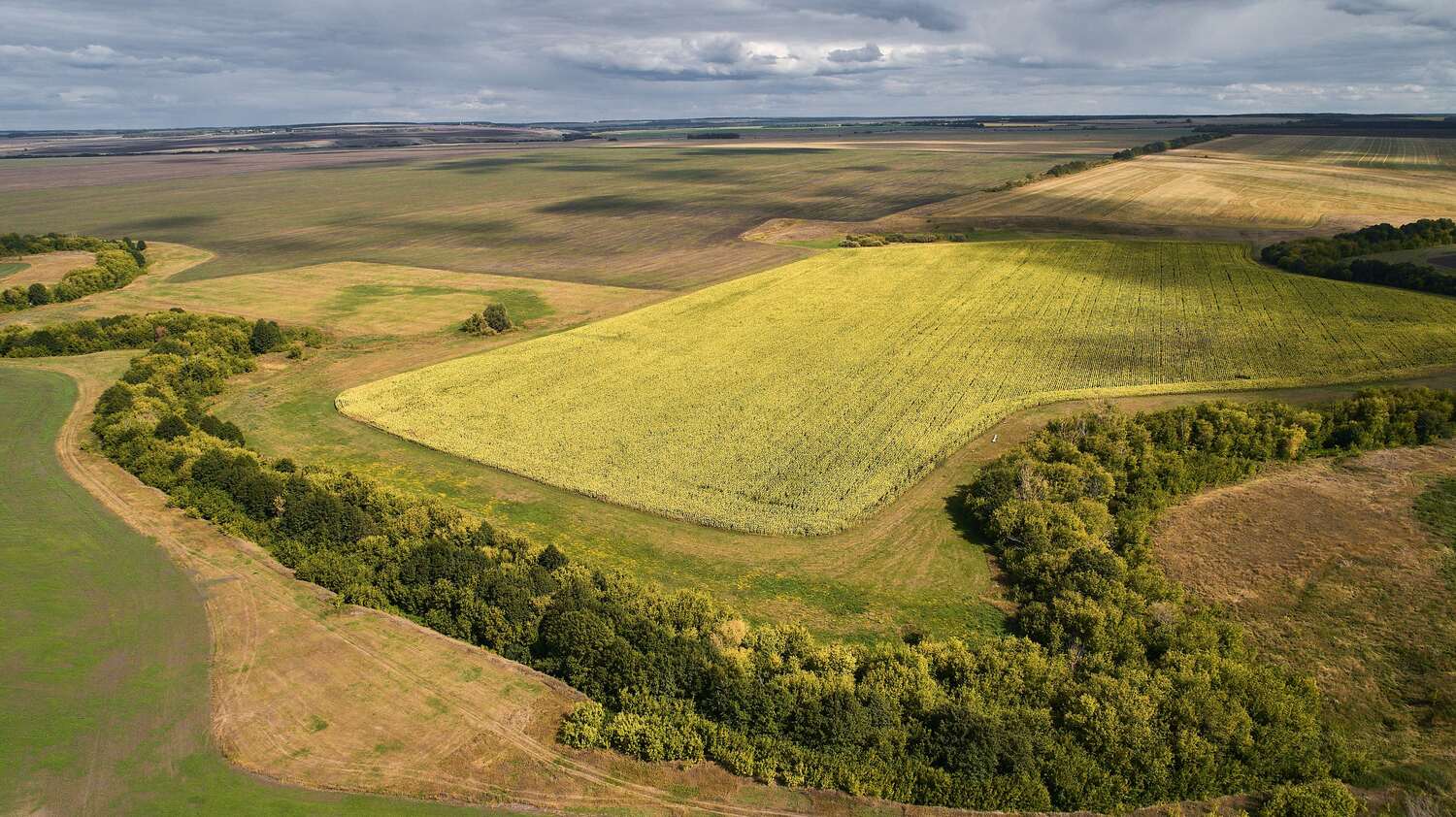 volgograd, russia, landscapes, , Павел Сторчилов