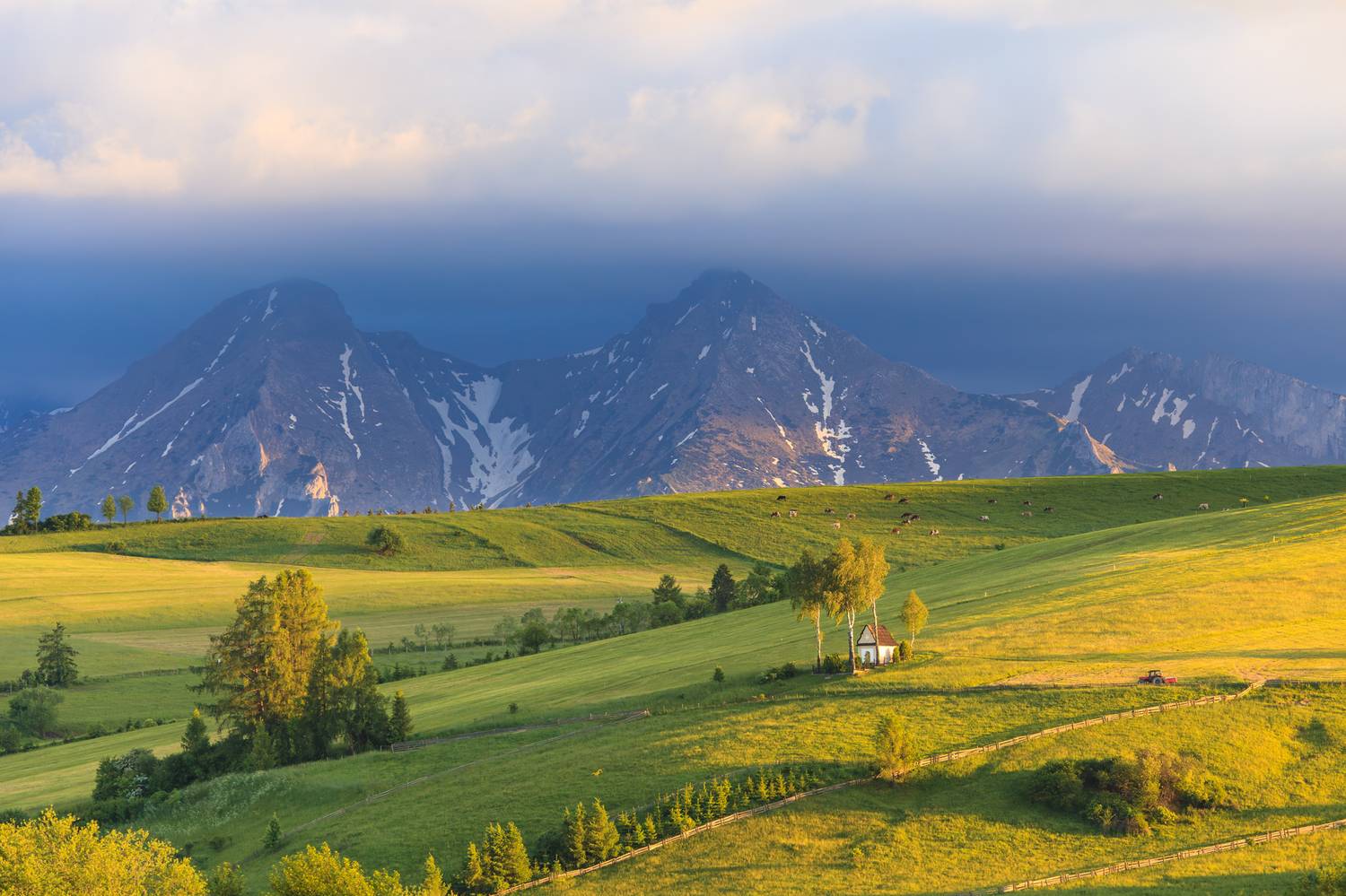 ,  Mirosław Pruchnicki