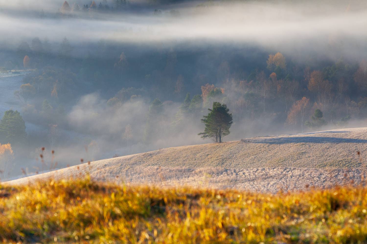 ,  Mirosław Pruchnicki
