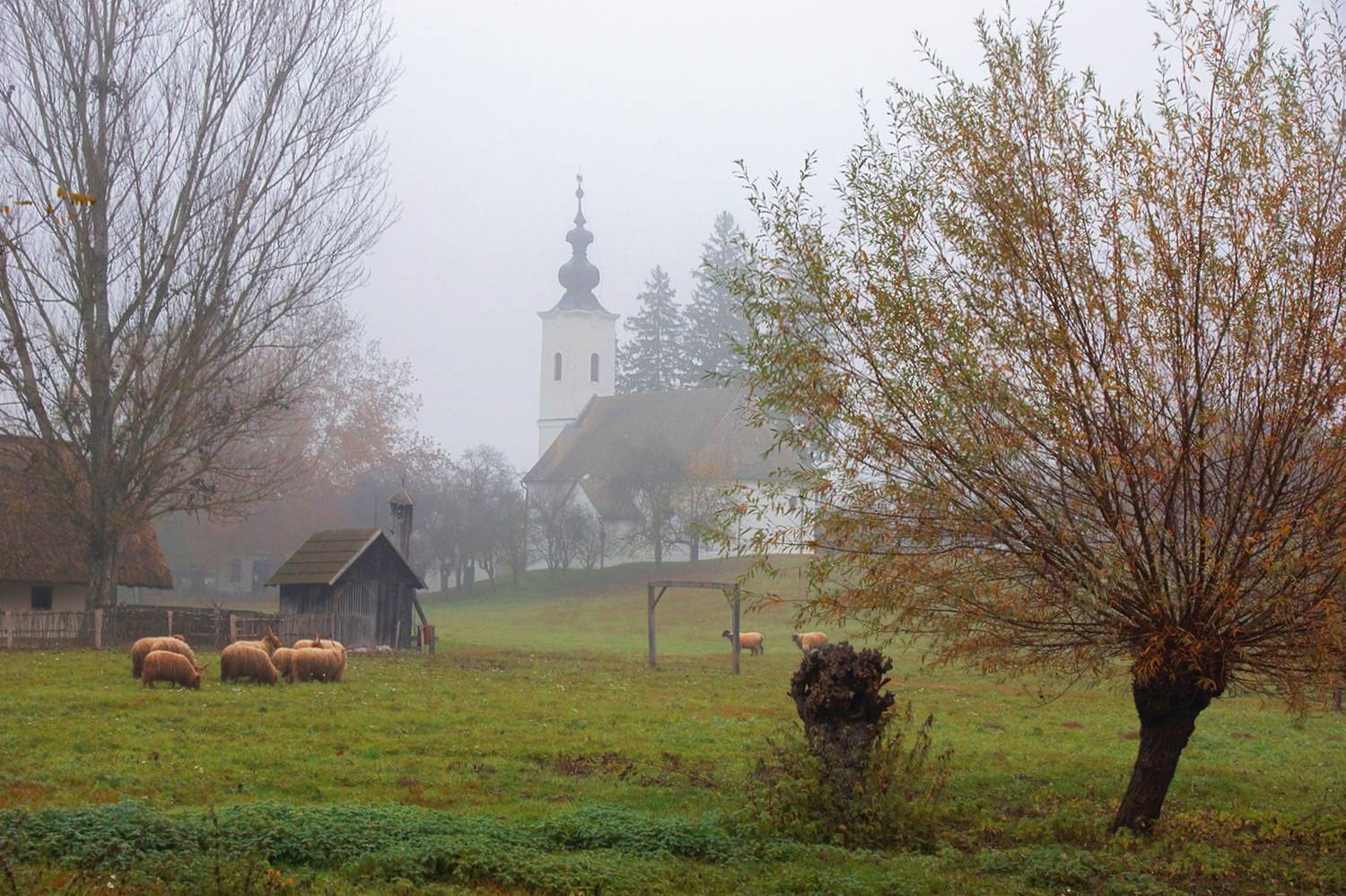 , Петр Косых