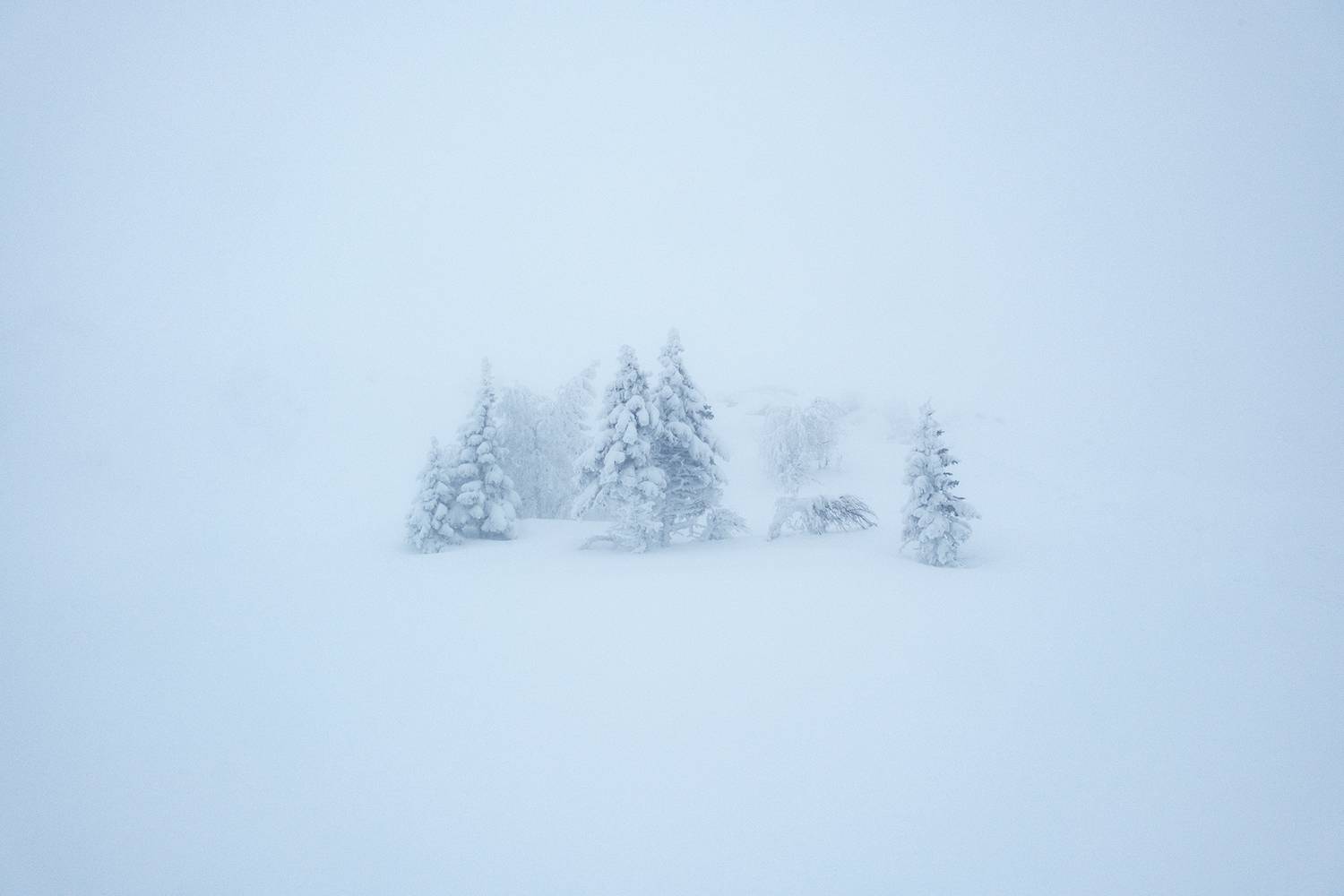 , Бодрягин Виталий