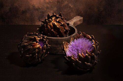 Цветут сухие артишоки
