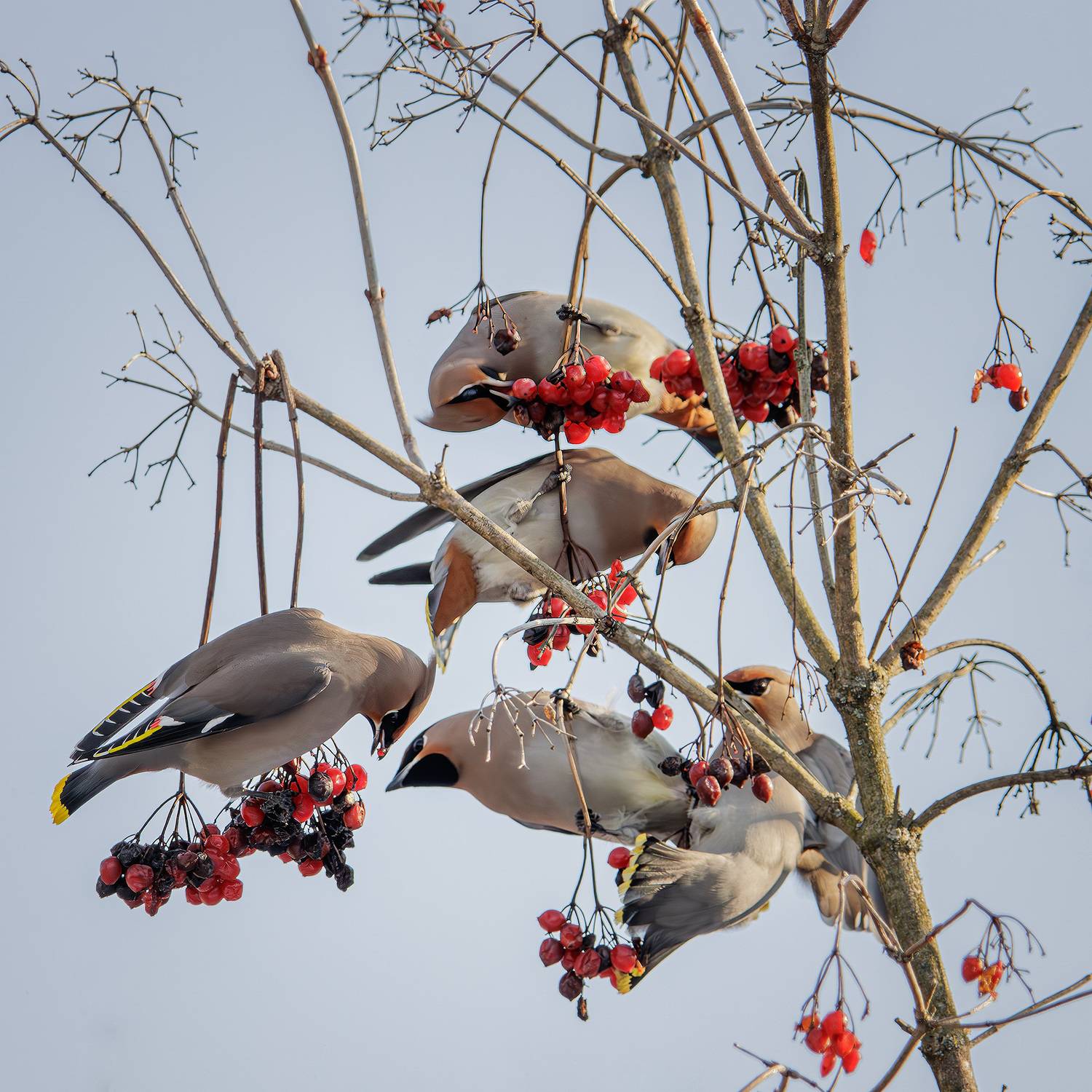 , Морозов Сергей