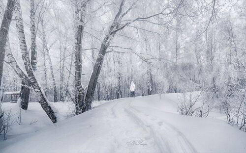 Снежная зима