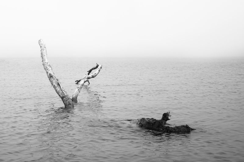 Штиль фото превью