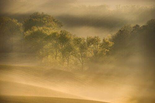 Moravian morning