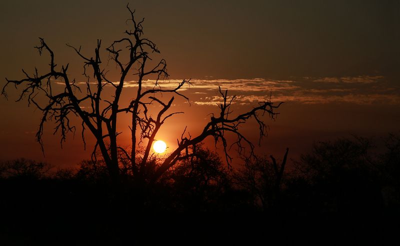 Torrid sunset фото превью