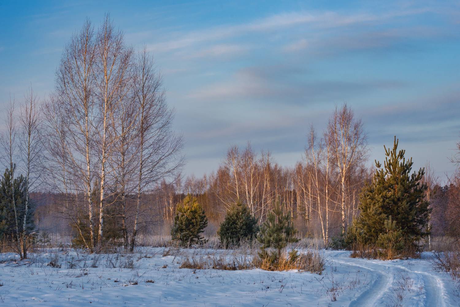 утро февраль пейзаж воронино, Алексеев Дмитрий