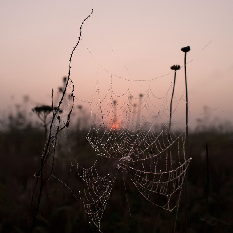 Ловец солнца 2 фото превью