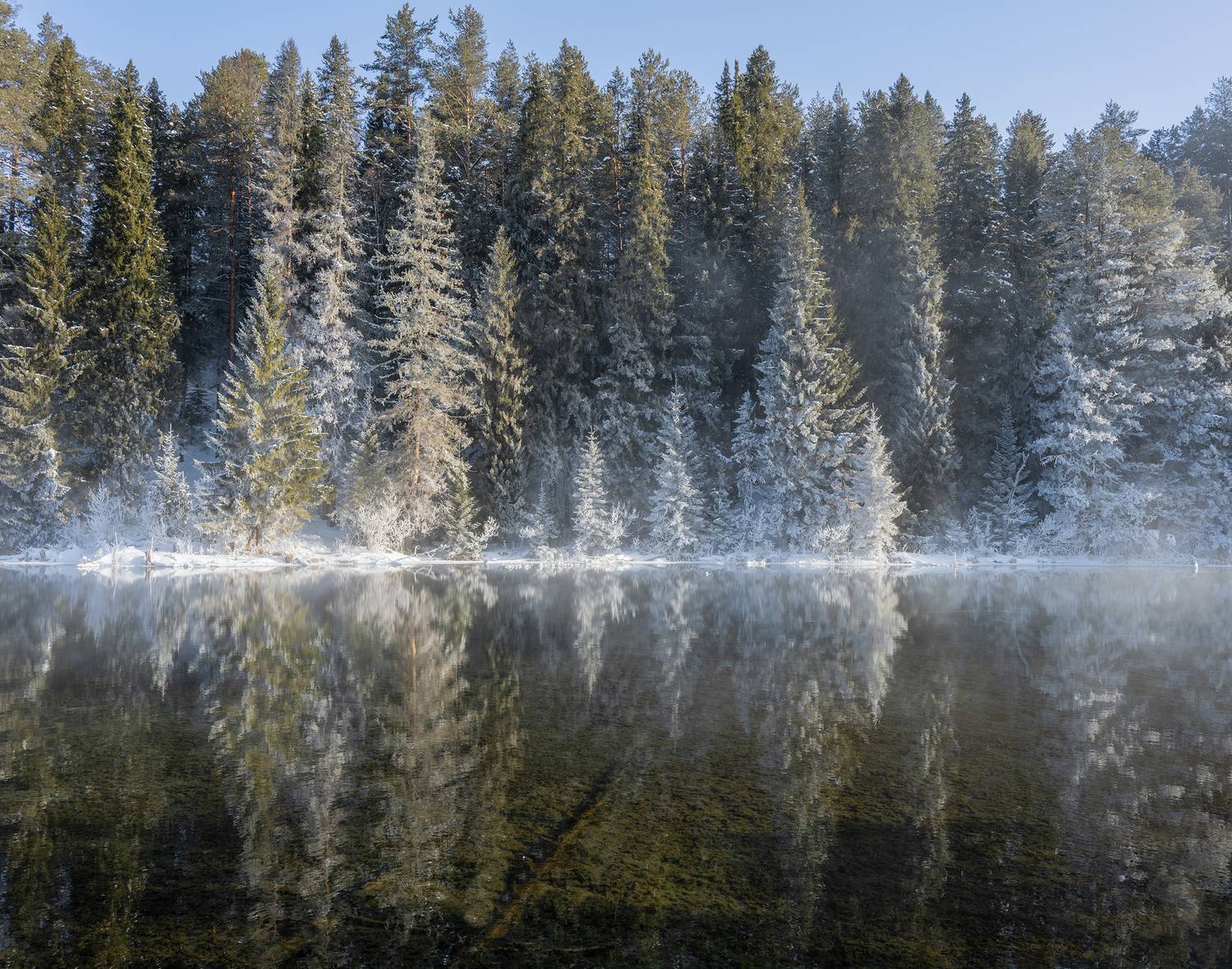 , Карепанов Евгений