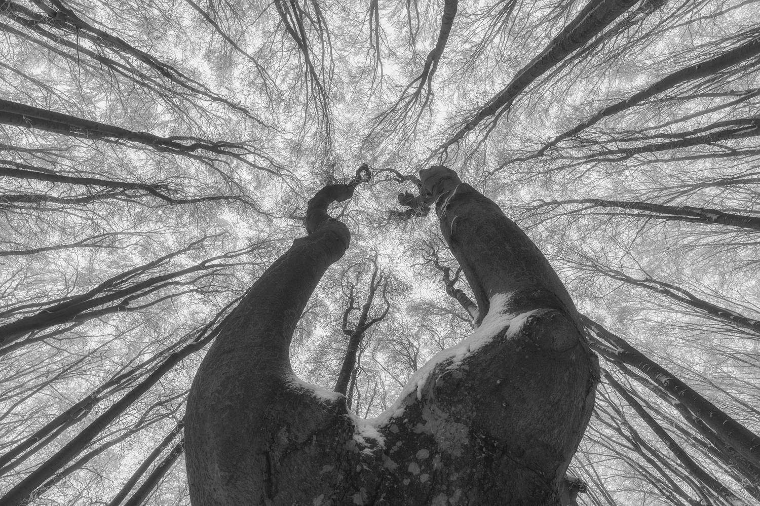 , Маджаров Костадин