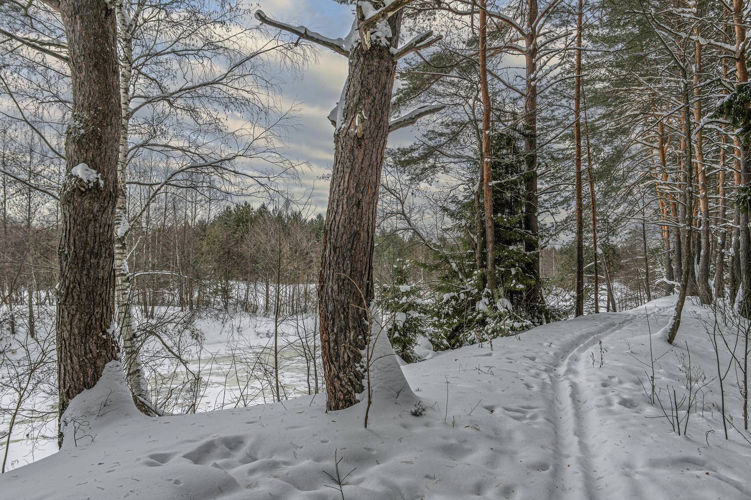 , Шитов Александр