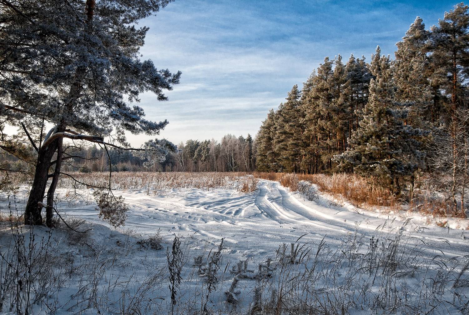 , Олег Тыркин