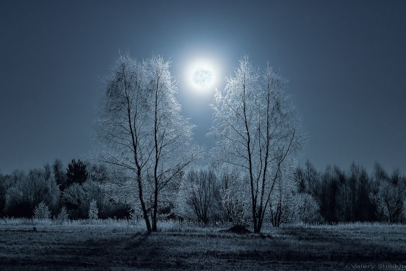 *** фото превью