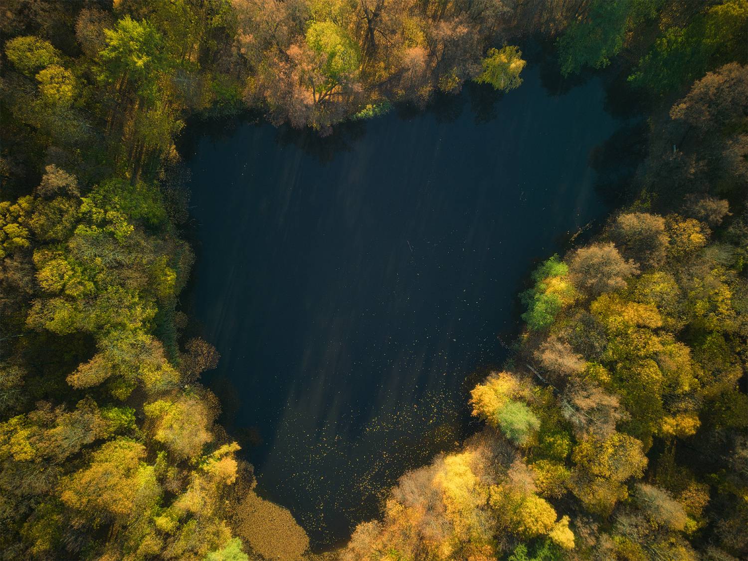 , Аседач Александр
