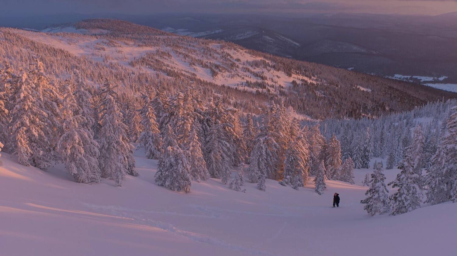 аргиджек, зима, закат, лес, снег, Юрий Мальцев