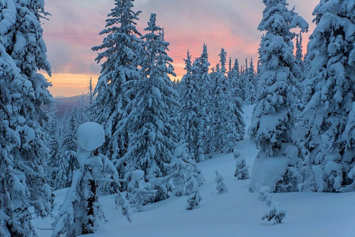 аргиджек, зима, закат, лес, снег, снеговики, фигурки, Юрий Мальцев
