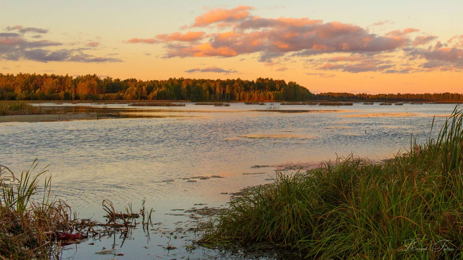 , Фотов Ренат