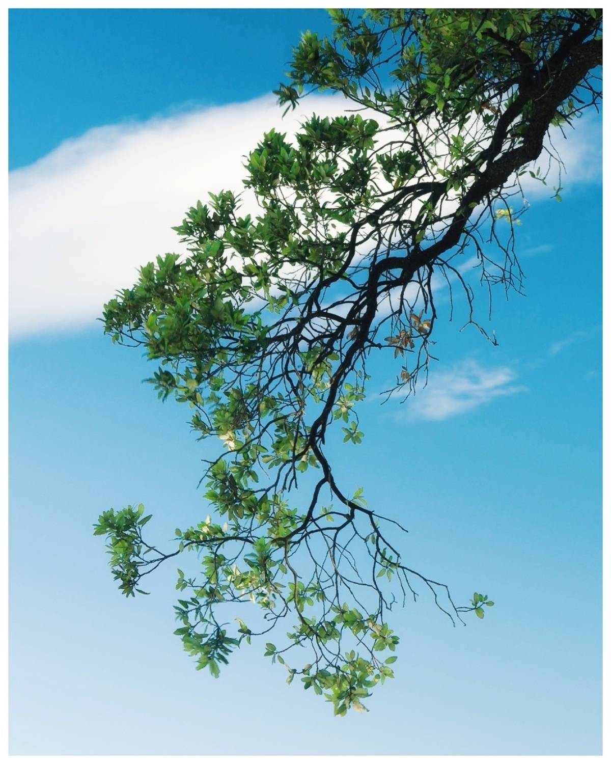 , Станислав