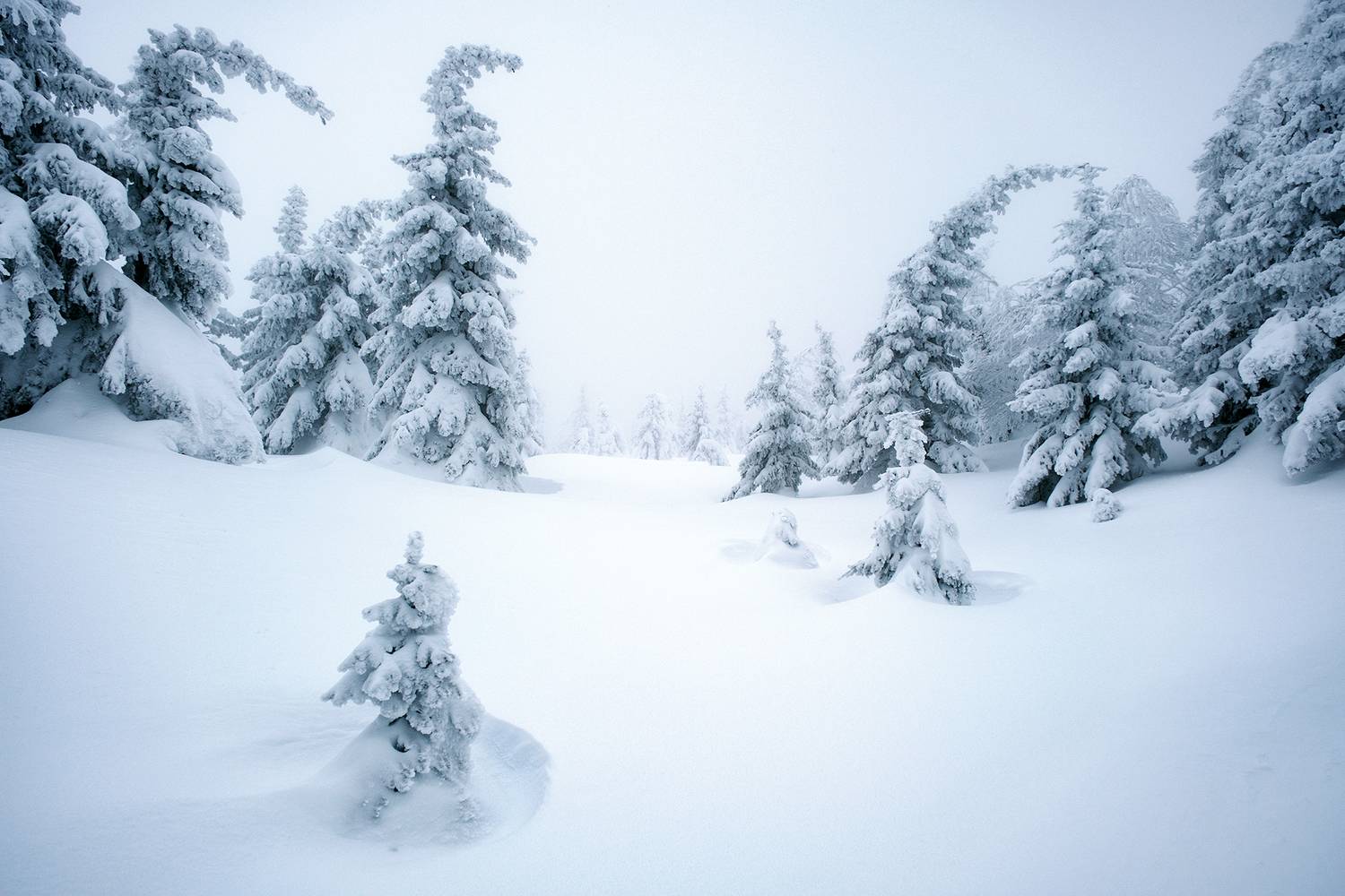 , Бодрягин Виталий