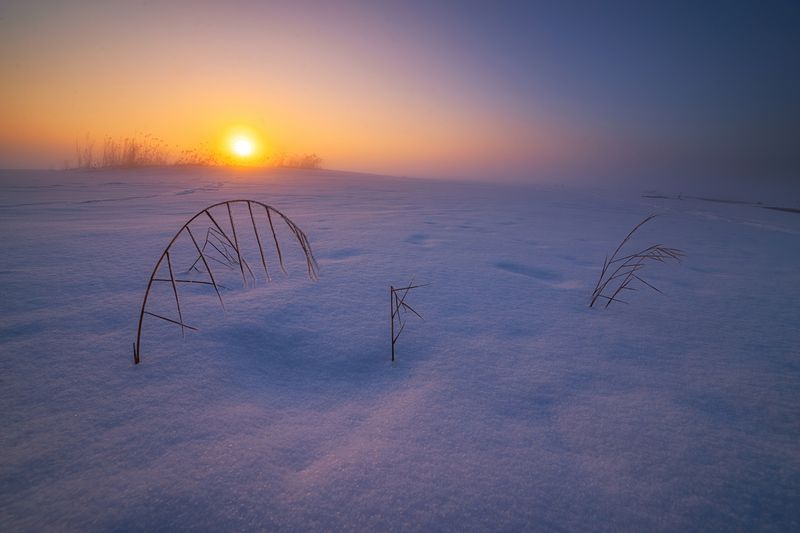 Про зимний закат, туман и просто травинки фото превью