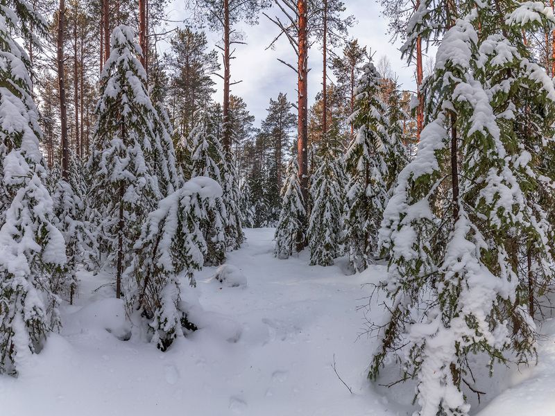 Конец зимы. фото превью