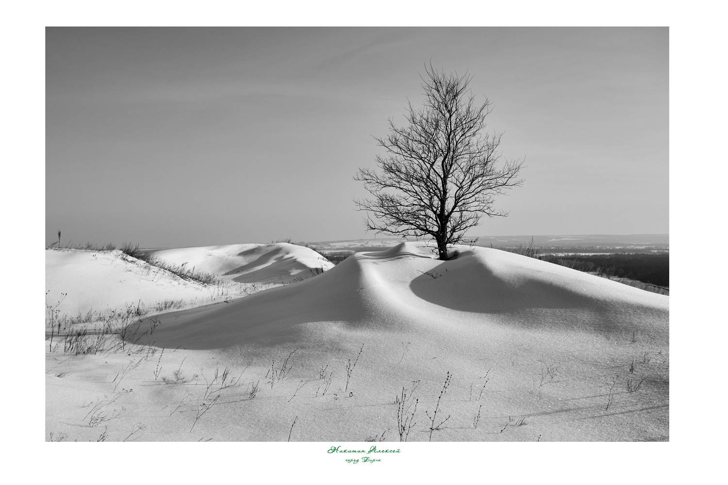 , Никитин Алексей