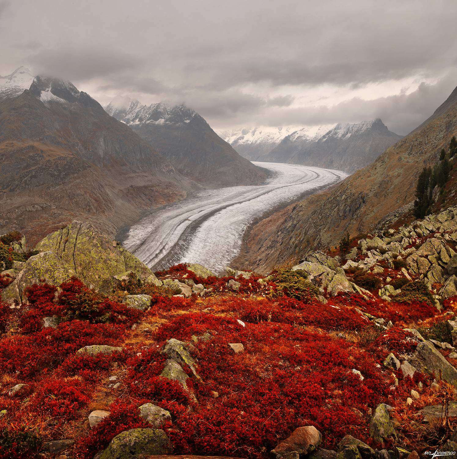 swiss, Матвеев Николай