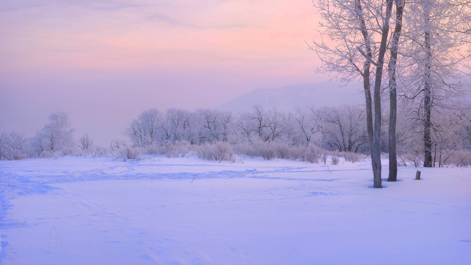 , Александр Тормосин