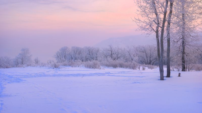 Морозно. фото превью
