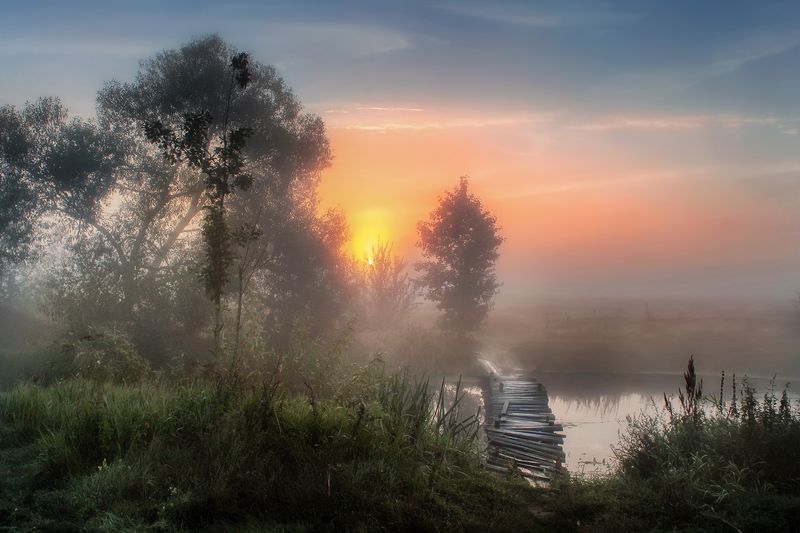 ******** фото превью