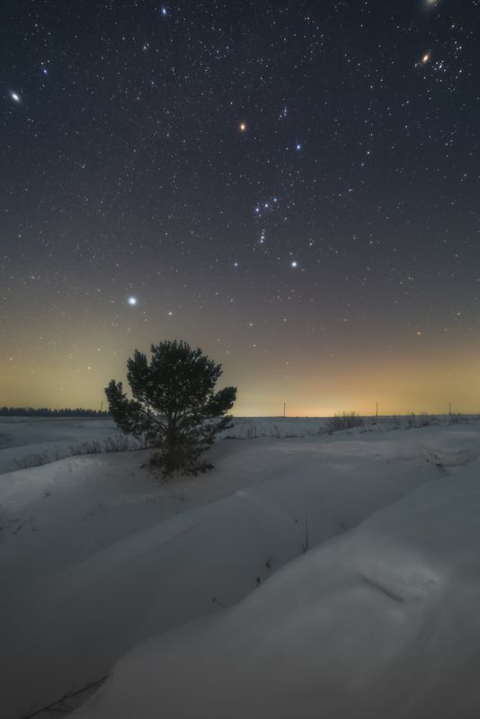 Орион и лиственница фото превью