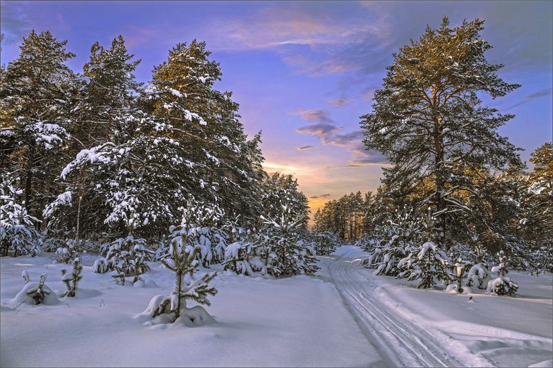 фото превью