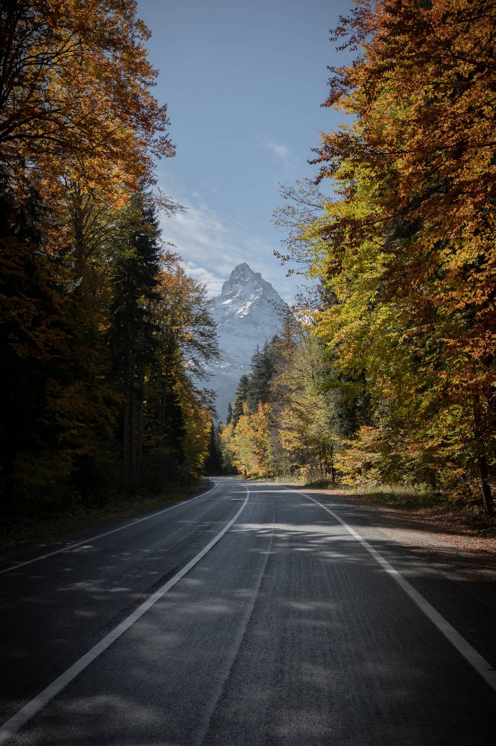 , Перевозчиков Андрей